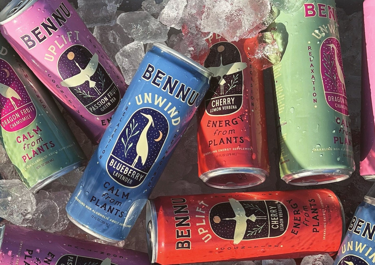 Bennu Party Bundle (12 Pack)